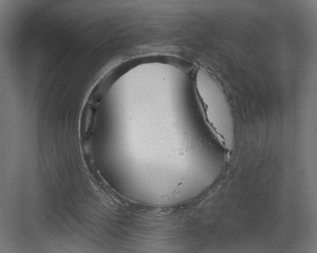 X0000082160148200702092226