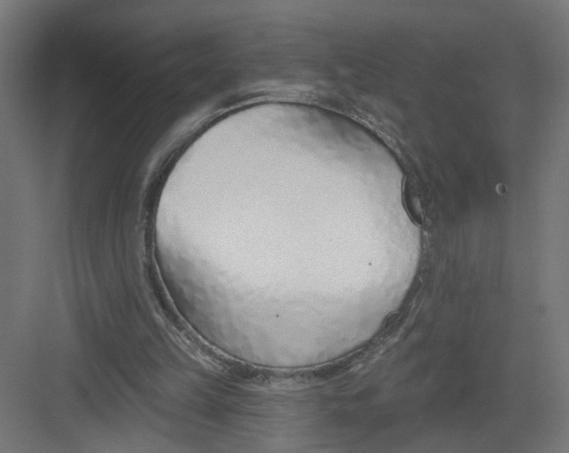 X0000082160149200702092226