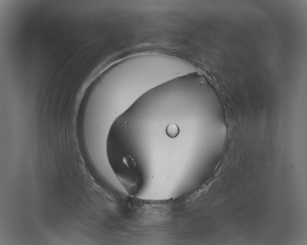 X0000082160150200702092226