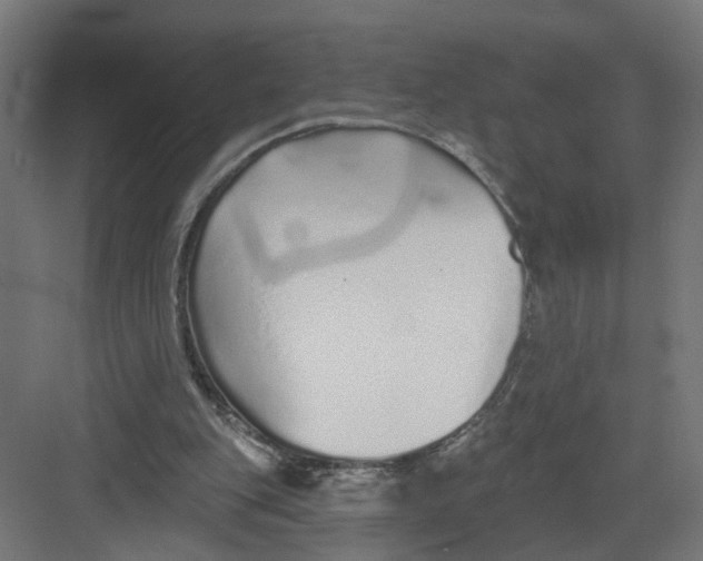 X0000082160151200702092226