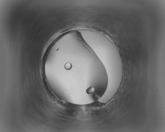 X0000082160152200702092226