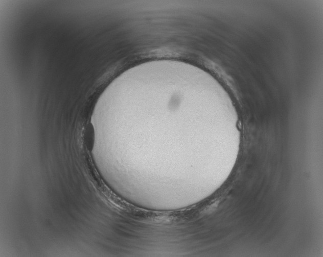 X0000082160153200702092226