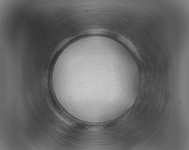 X0000082160155200702092226