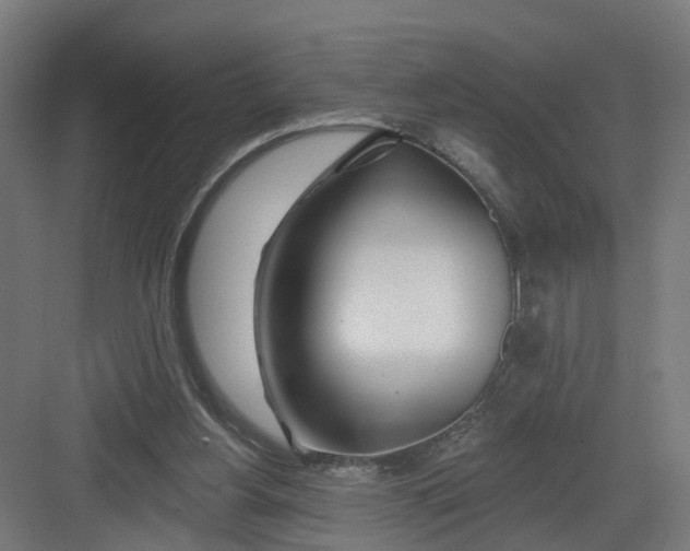 X0000082160156200702092227