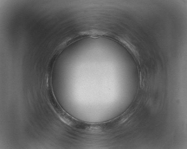 X0000082160157200702092227