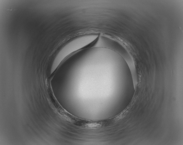 X0000082160158200702092227