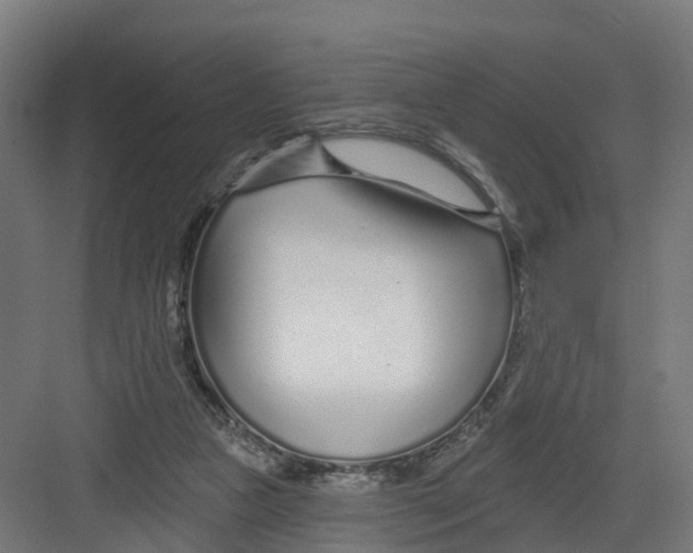 X0000082160161200702092227