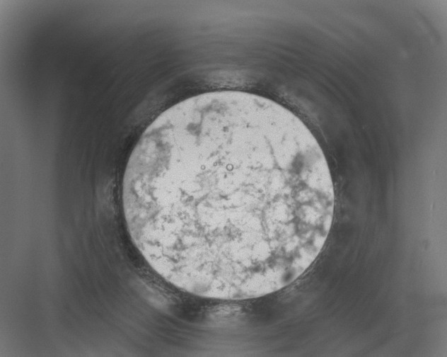 X0000082160162200702092227