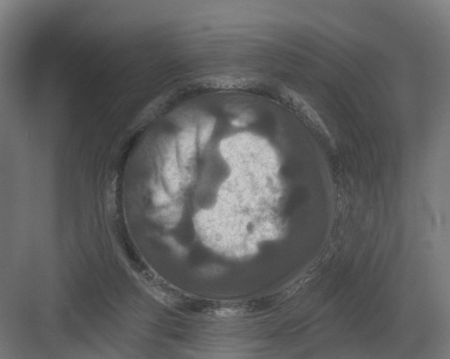 X0000082160163200702092227