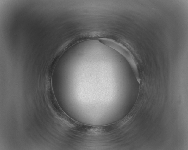 X0000082160164200702092227