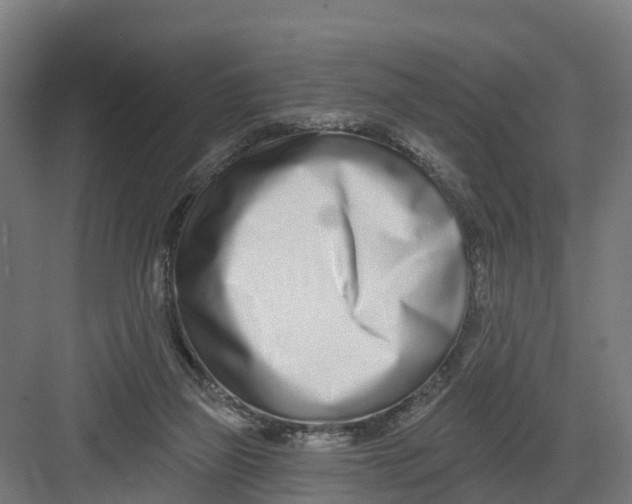 X0000082160165200702092227