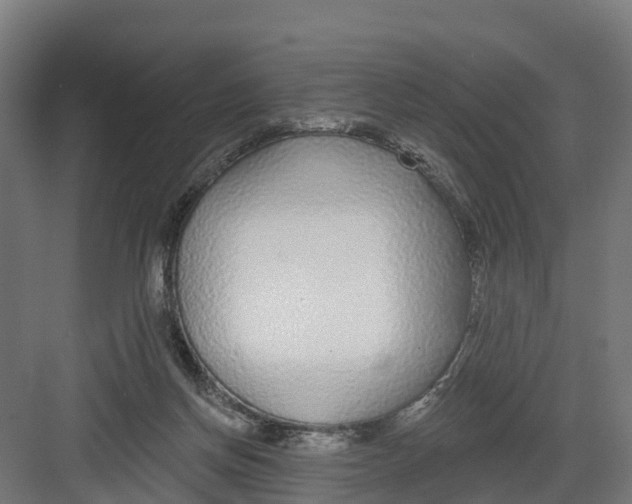 X0000082160166200702092227