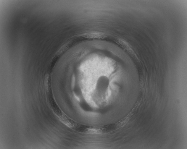 X0000082160167200702092227