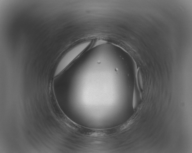 X0000082160168200702092227