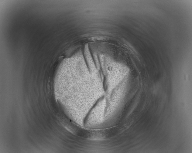 X0000082160169200702092227