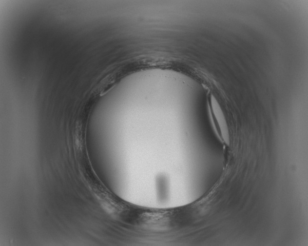 X0000082160170200702092227