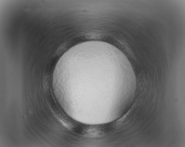 X0000082160171200702092227