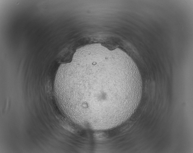 X0000082160173200702092227