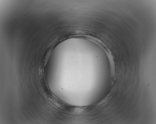 X0000082160176200702092227