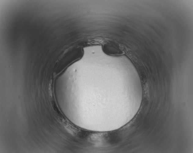 X0000082160178200702092227