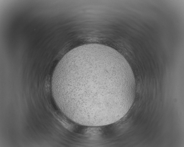 X0000082160179200702092227