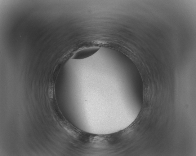 X0000082160180200702092227