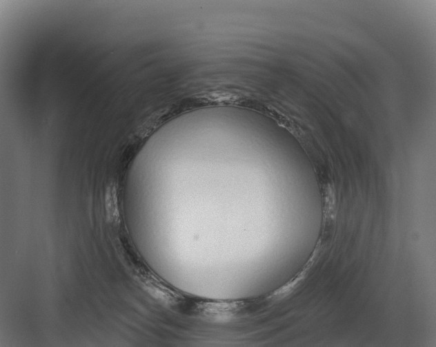 X0000082160182200702092227