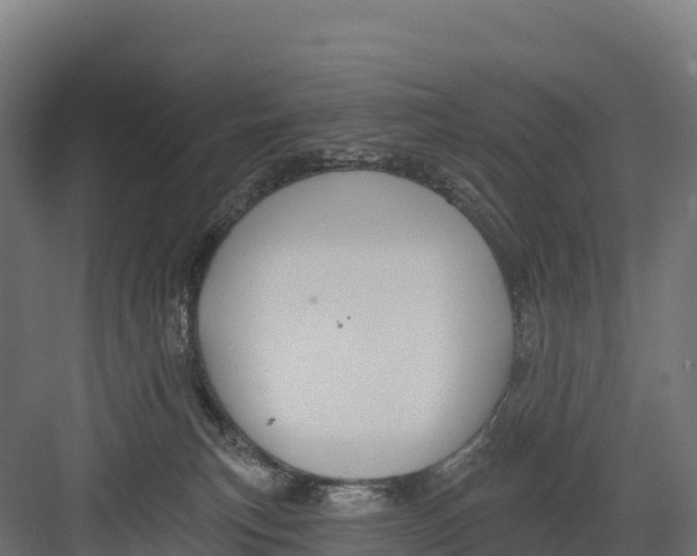 X0000082160183200702092227