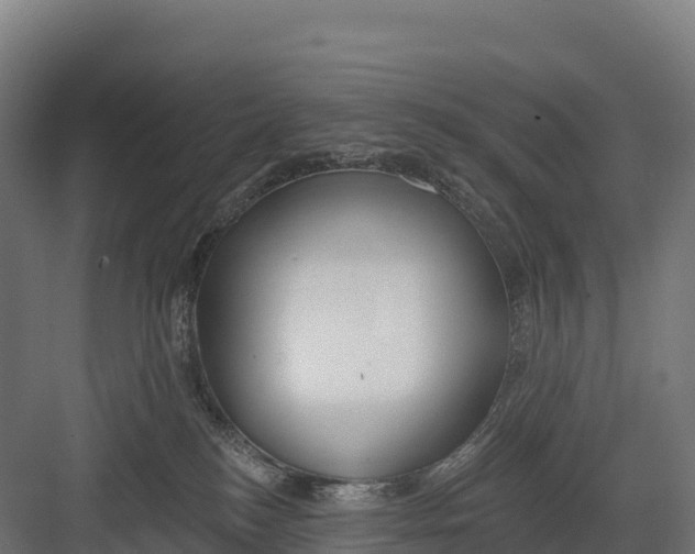 X0000082160184200702092227