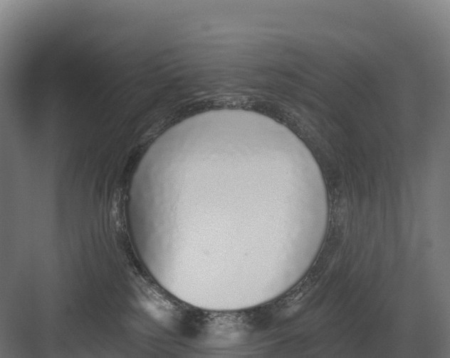 X0000082160185200702092227