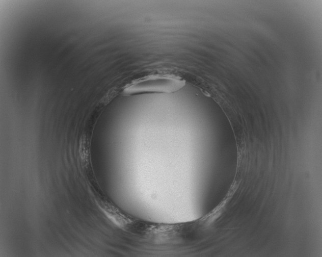 X0000082160186200702092227