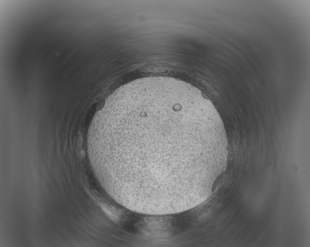 X0000082160187200702092227