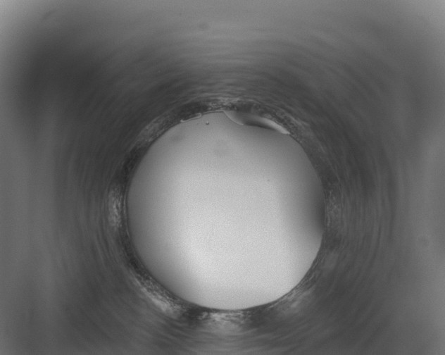 X0000082160188200702092227