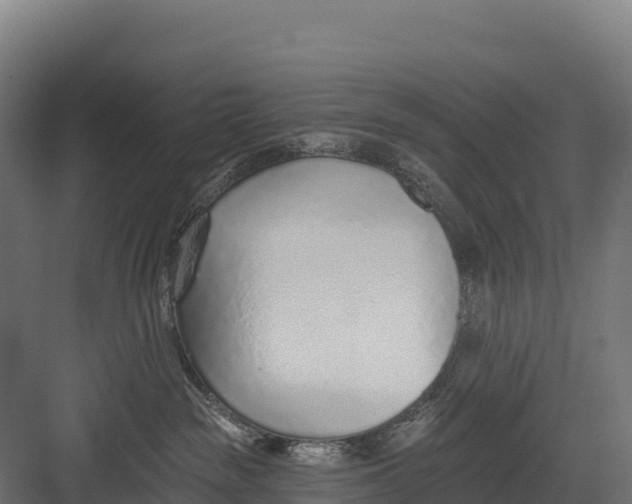 X0000082160189200702092227