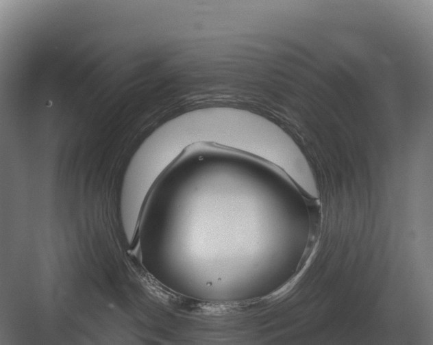 X0000082160190200702092227