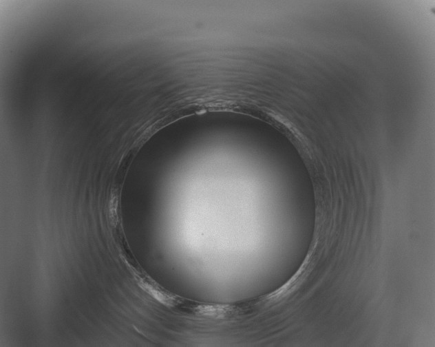 X0000082160192200702092227