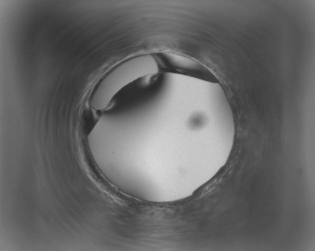 X0000082160193200702092226