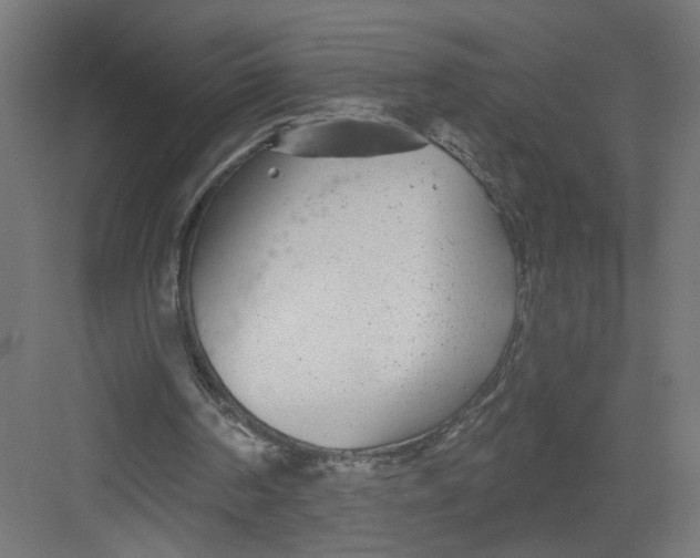 X0000082160194200702092226