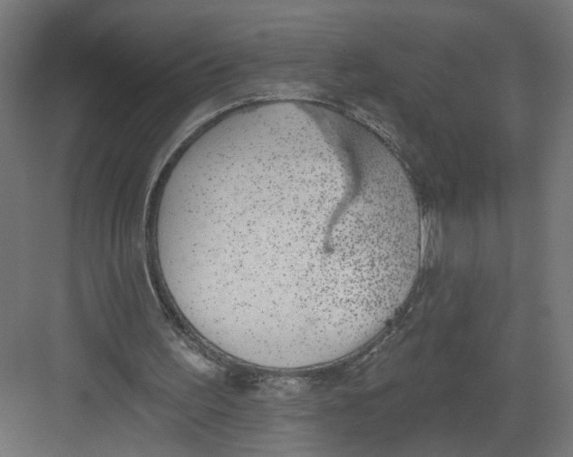 X0000082160195200702092226