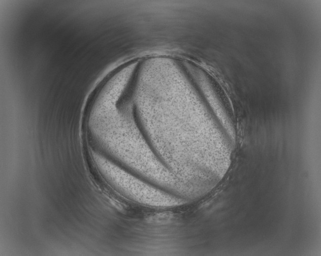 X0000082160196200702092226