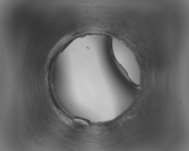 X0000082160197200702092226