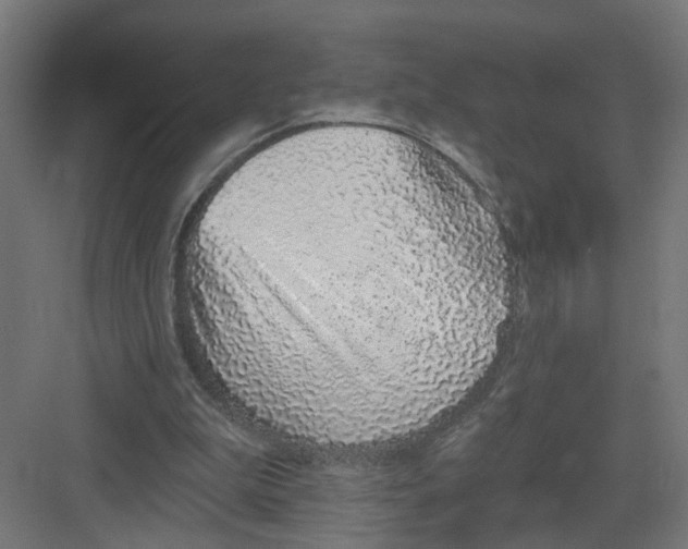 X0000082160199200702092226