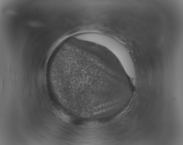 X0000082160200200702092226