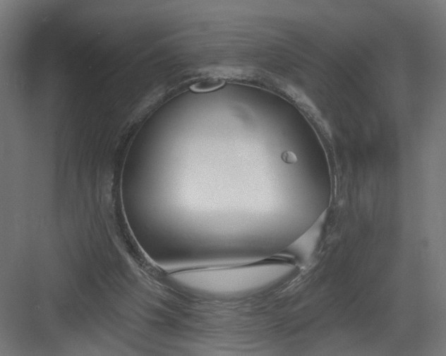 X0000082160201200702092226