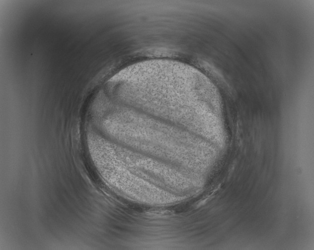 X0000082160202200702092226