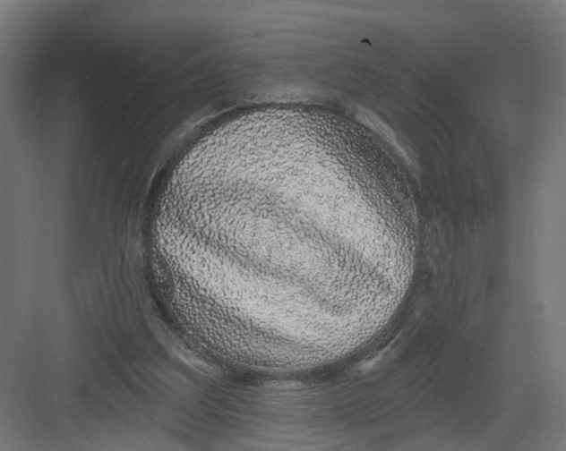 X0000082160203200702092226