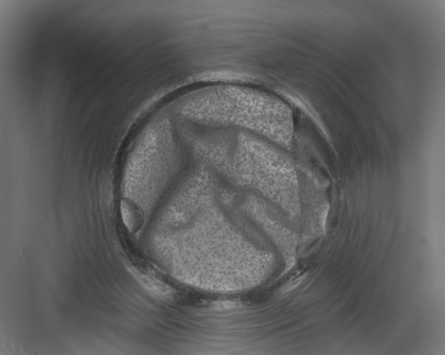 X0000082160204200702092226