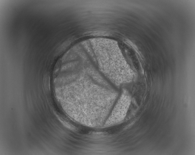 X0000082160205200702092226