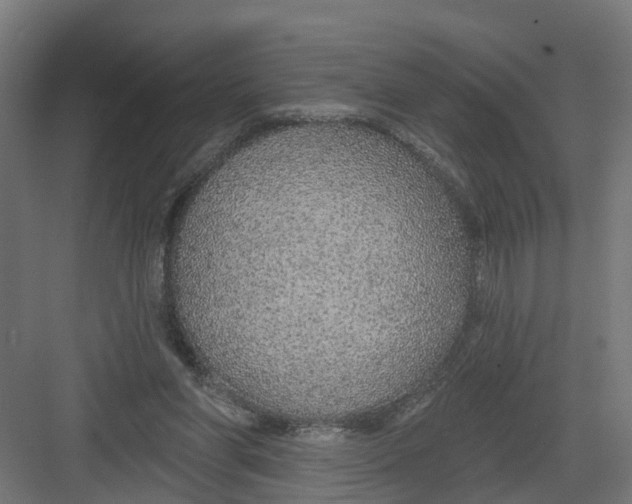 X0000082160206200702092226