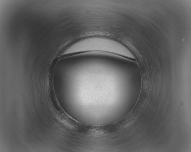 X0000082160207200702092226